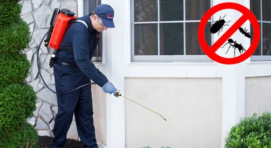 Sapanca Dezenfeksiyon böcek ilaçlama ve haşere kontrolü — ilaclama-tr.com